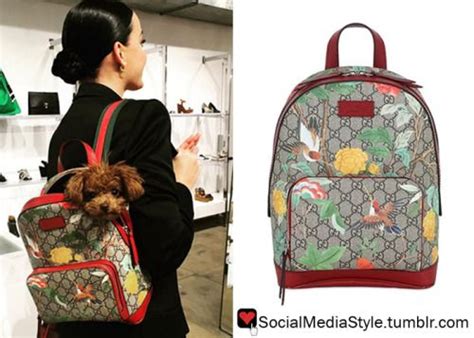 gucci backpacks red|gucci backpack hummingbird.